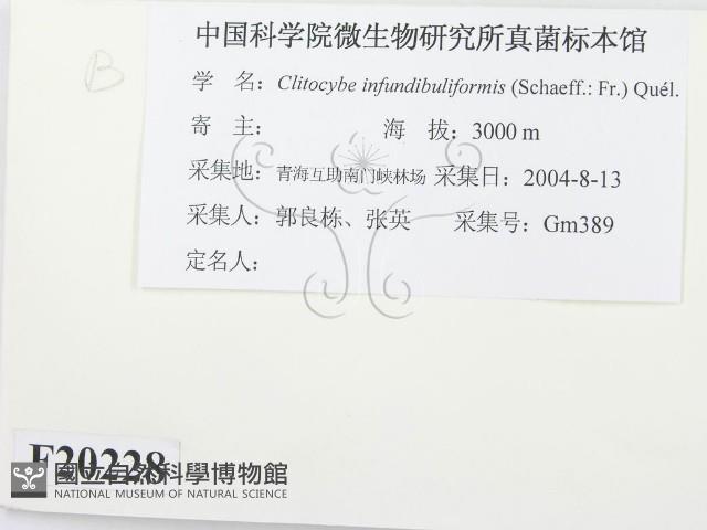 登錄號:F0020228藏品圖，第2張