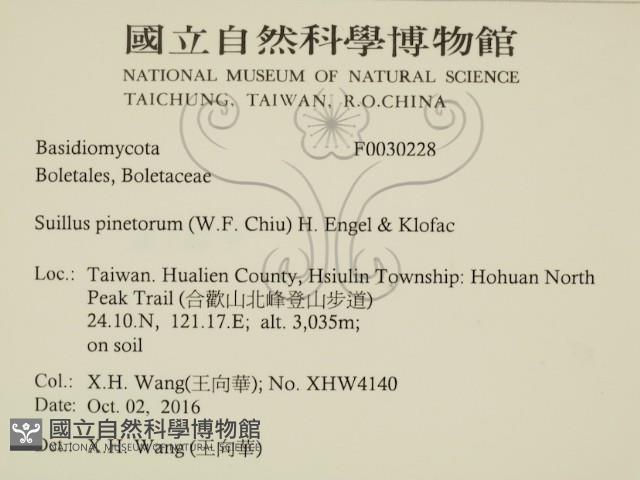 登錄號:F0030228藏品圖，第2張