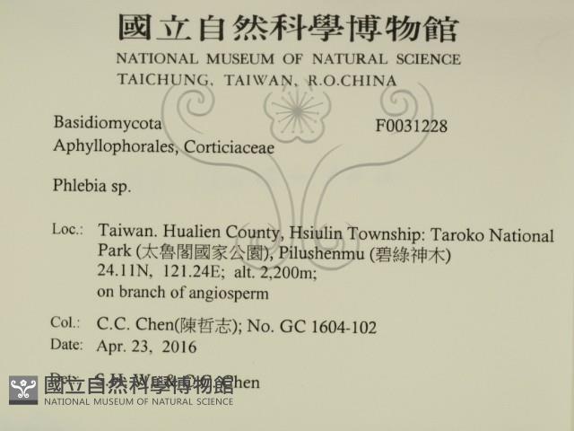 登錄號:F0031228藏品圖，第2張