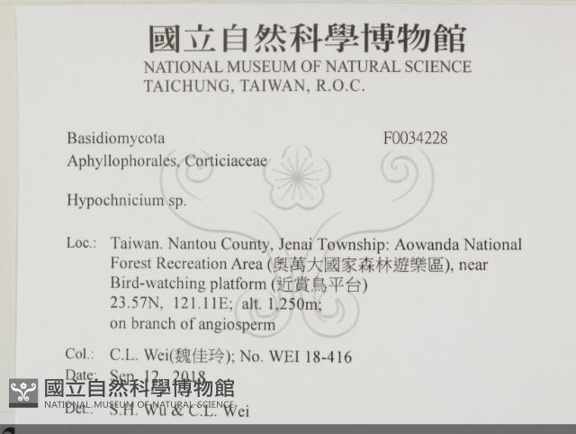 登錄號:F0034228藏品圖，第2張