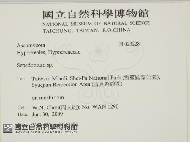 登錄號:F0023228藏品圖，第2張