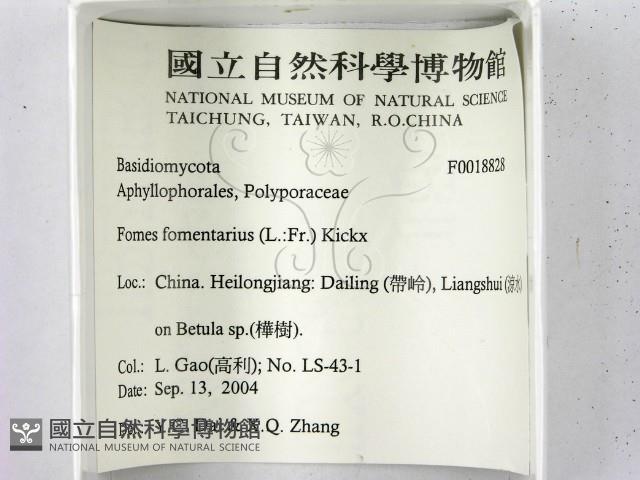 登錄號:F0018828藏品圖，第2張
