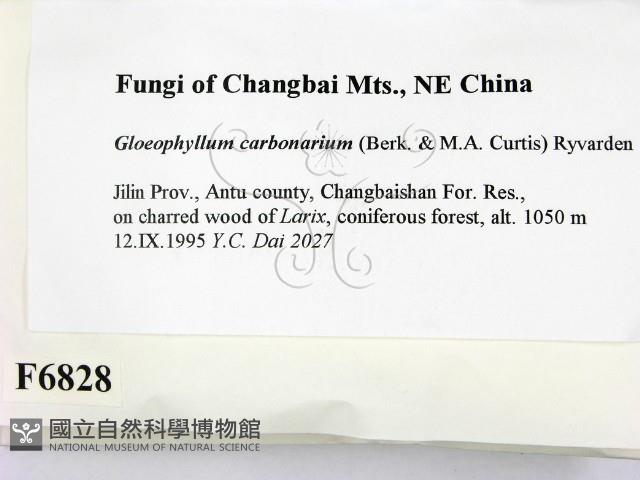 登錄號:F0006828藏品圖，第2張