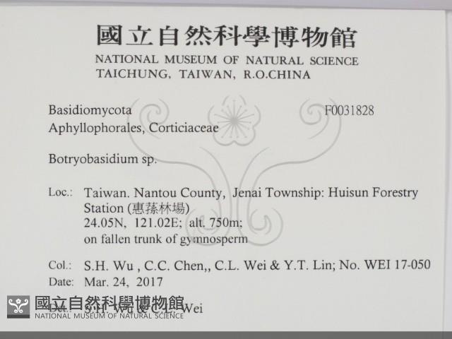 登錄號:F0031828藏品圖，第2張