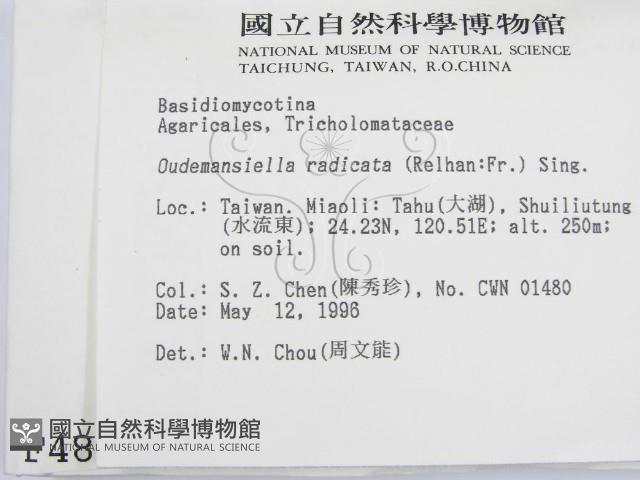 登錄號:F0004828藏品圖，第2張