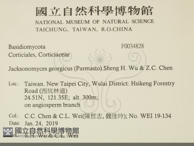登錄號:F0034828藏品圖，第2張