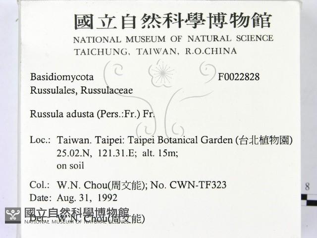 登錄號:F0022828藏品圖，第2張
