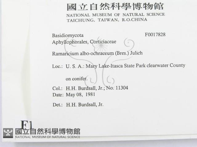 登錄號:F0017828藏品圖，第2張