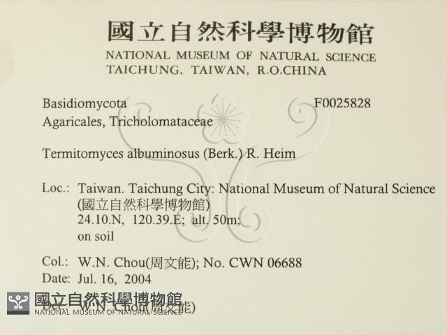 登錄號:F0025828藏品圖，第2張