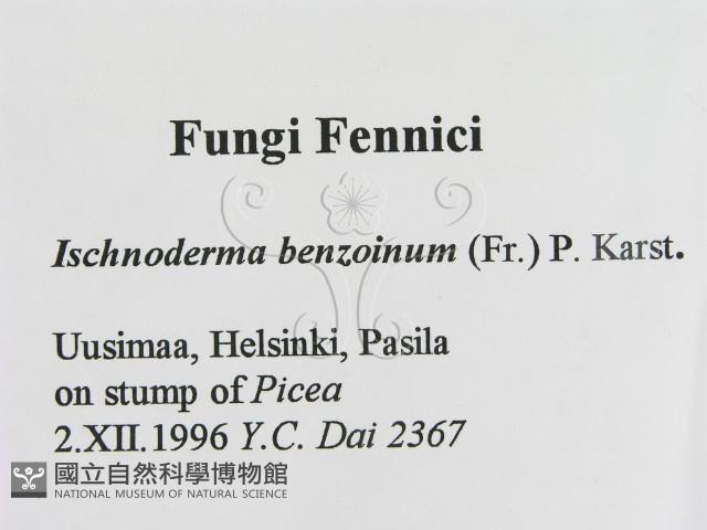 登錄號:F0005828藏品圖，第2張