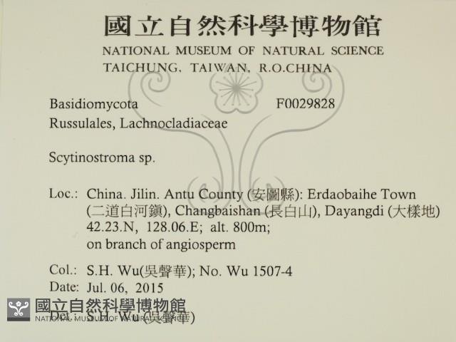 登錄號:F0029828藏品圖，第2張