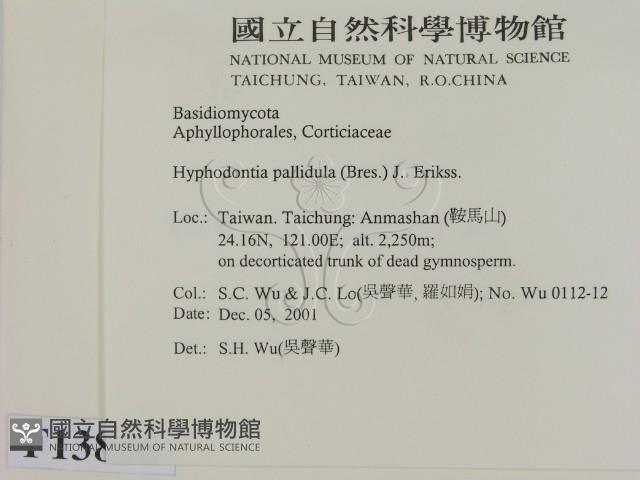 登錄號:F0013828藏品圖，第2張