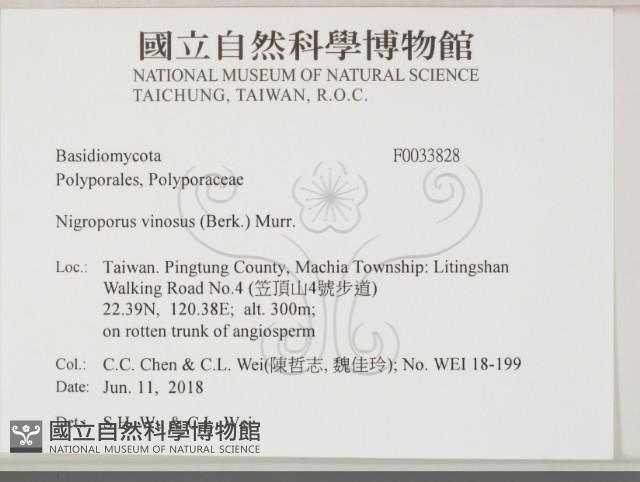 登錄號:F0033828藏品圖，第2張