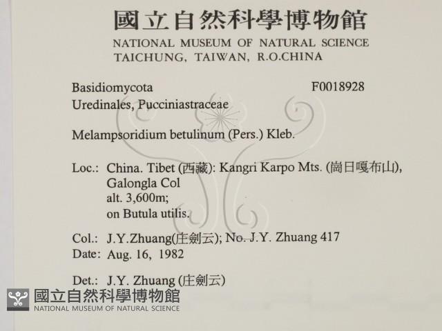 登錄號:F0018928藏品圖，第2張