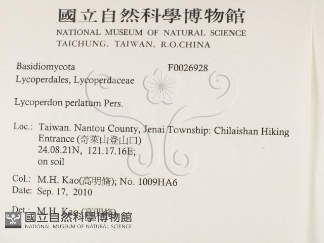 登錄號:F0026928藏品圖，第2張