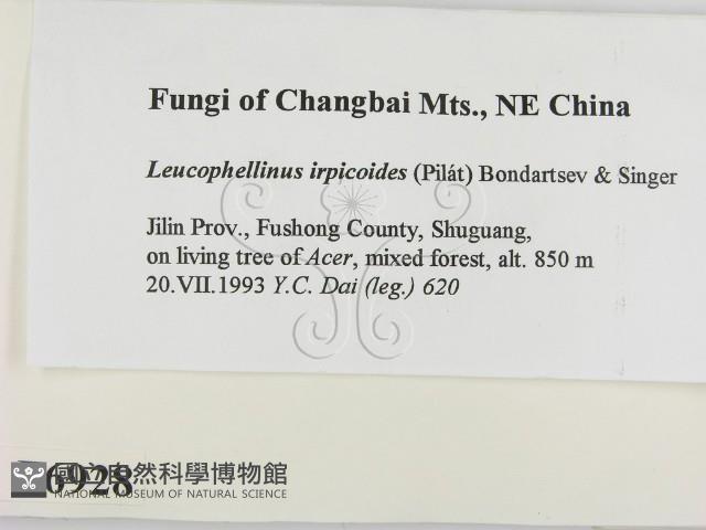 登錄號:F0006928藏品圖，第2張