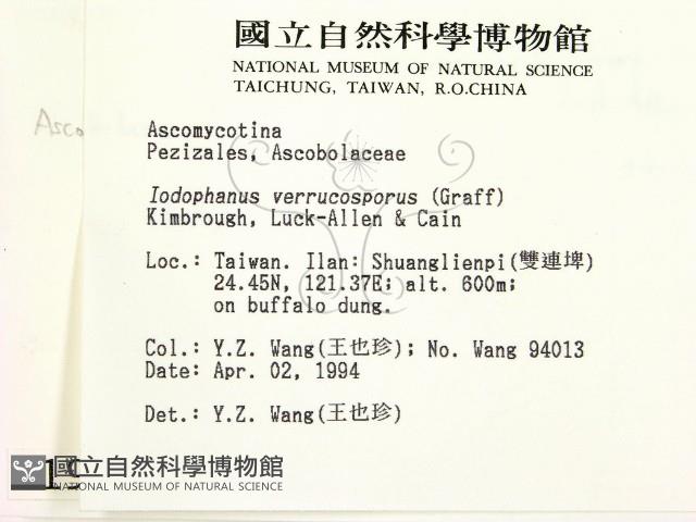 登錄號:F0001928藏品圖，第2張