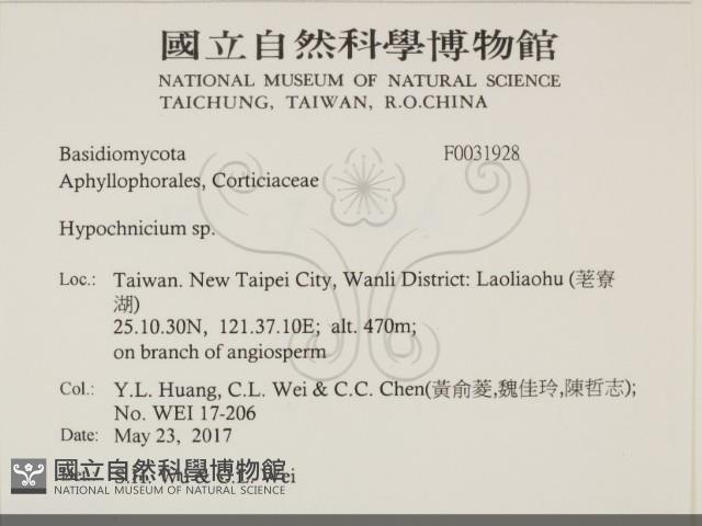 登錄號:F0031928藏品圖，第2張