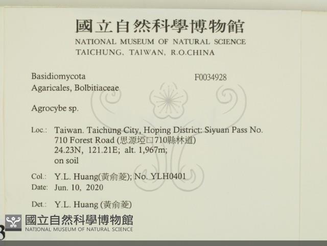 Accession Number:F0034928 Collection Image, Figure 2, Total 3 Figures