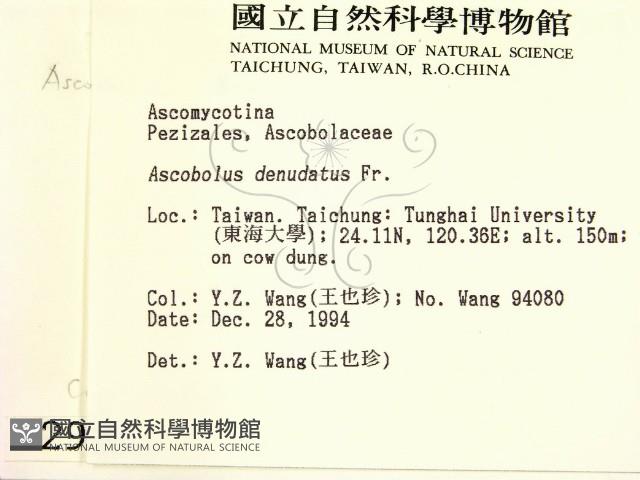 登錄號:F0002928藏品圖，第2張