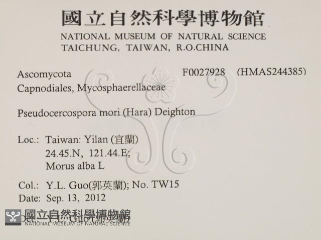 登錄號:F0027928藏品圖，第2張