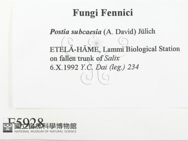 登錄號:F0005928藏品圖，第2張