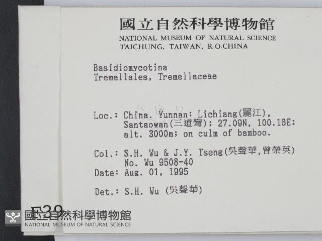 登錄號:F0003928藏品圖，第2張