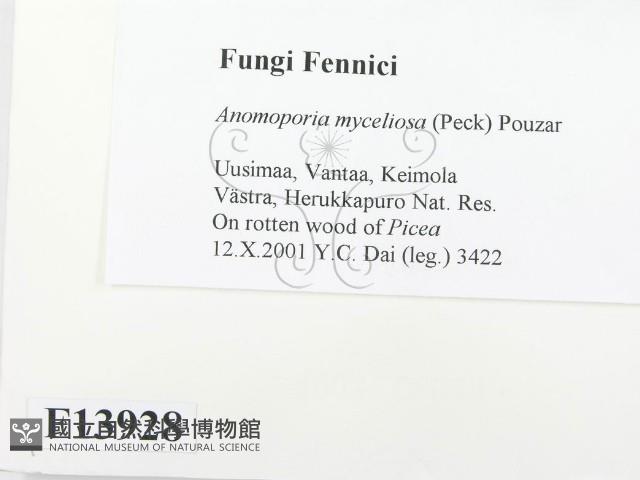 登錄號:F0013928藏品圖，第2張