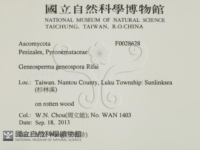 登錄號:F0028628藏品圖，第2張