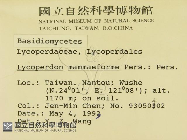 登錄號:F0000628藏品圖，第2張
