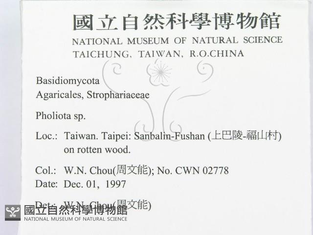 登錄號:F0010628藏品圖，第2張