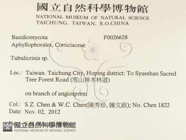 登錄號:F0026628藏品圖，第2張