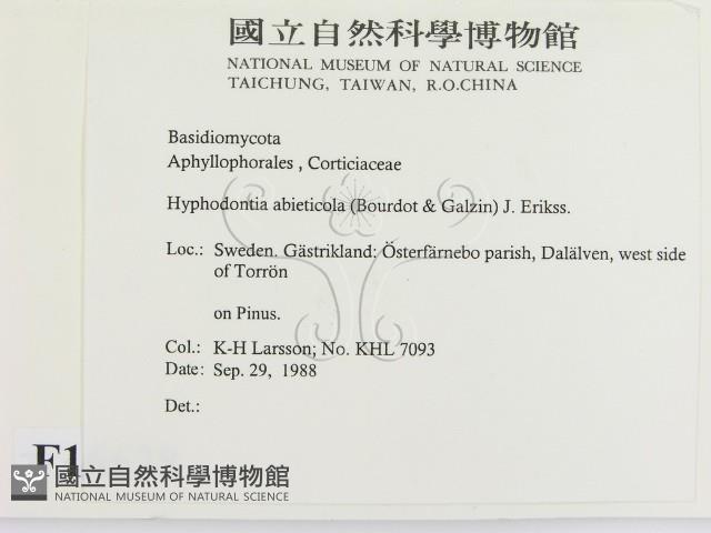 登錄號:F0016628藏品圖，第2張