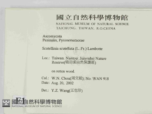 登錄號:F0014628藏品圖，第2張