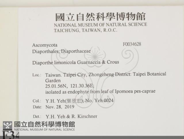 登錄號:F0034628藏品圖，第2張