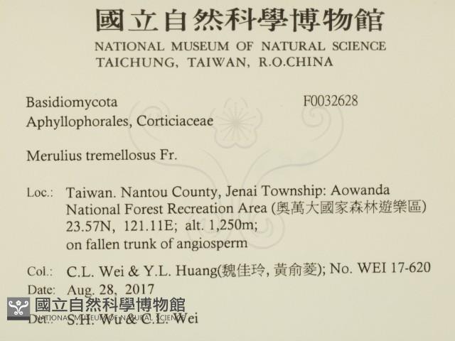 登錄號:F0032628藏品圖，第2張