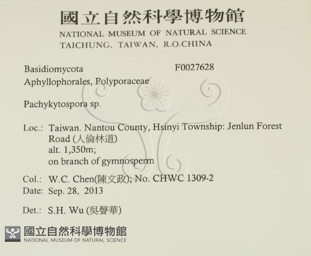 登錄號:F0027628藏品圖，第2張