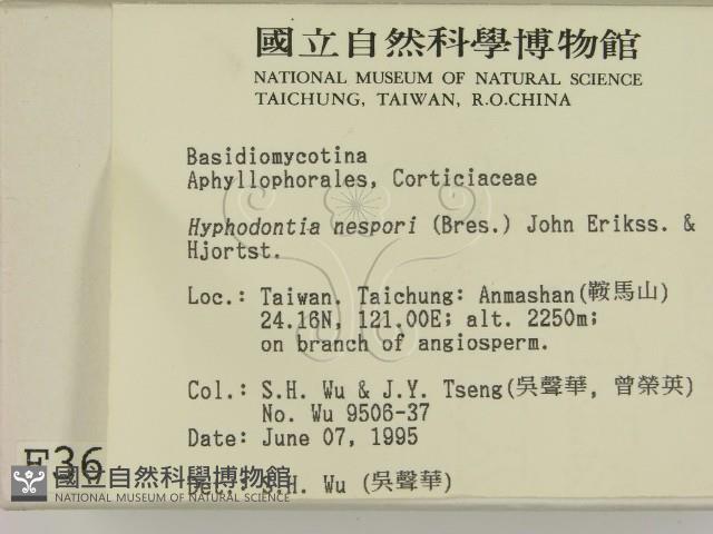 登錄號:F0003628藏品圖，第2張