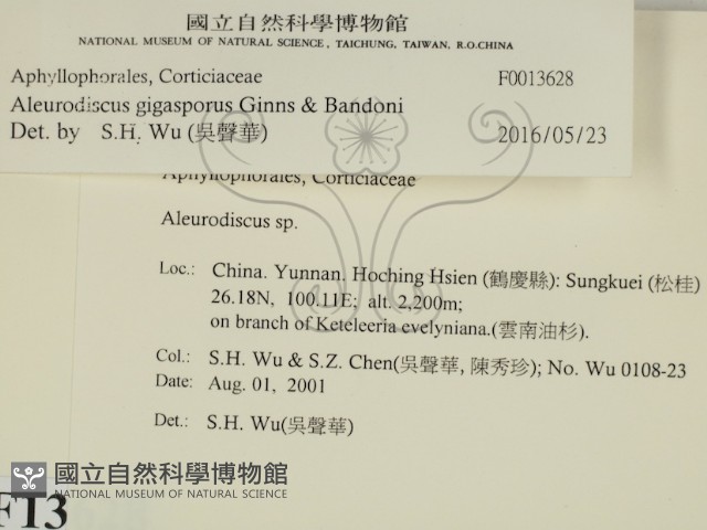 登錄號:F0013628藏品圖，第2張
