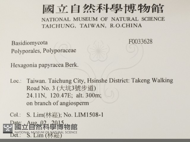 登錄號:F0033628藏品圖，第2張