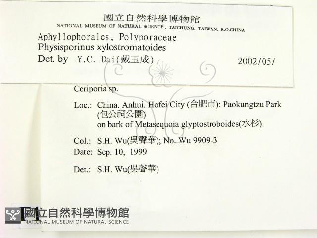 登錄號:F0010428藏品圖，第2張