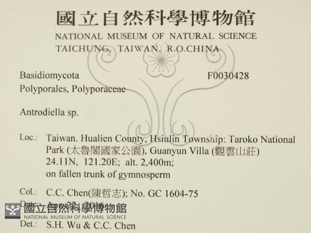 登錄號:F0030428藏品圖，第2張
