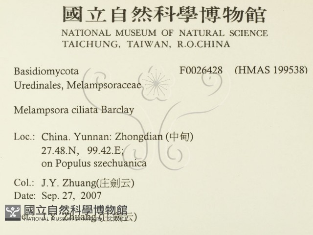 登錄號:F0026428藏品圖，第2張