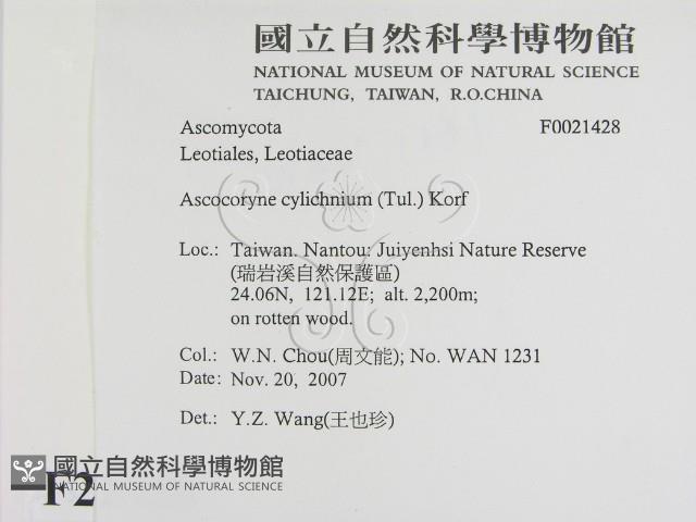 登錄號:F0021428藏品圖，第2張