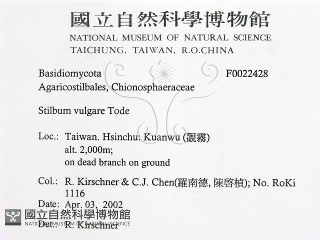 登錄號:F0022428藏品圖，第2張