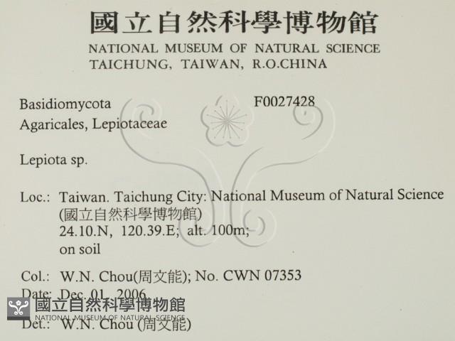 登錄號:F0027428藏品圖，第2張