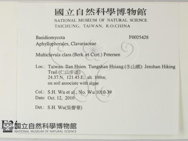登錄號:F0025428藏品圖，第2張