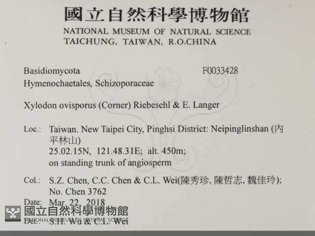 登錄號:F0033428藏品圖，第2張