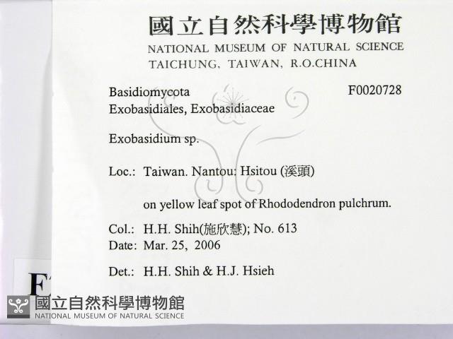 登錄號:F0020728藏品圖，第2張