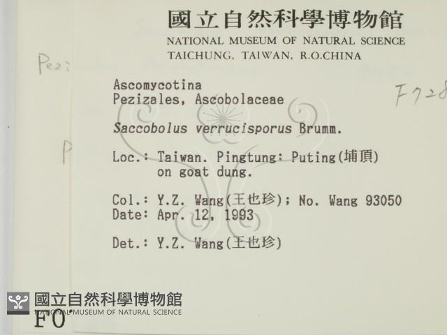 登錄號:F0000728藏品圖，第2張